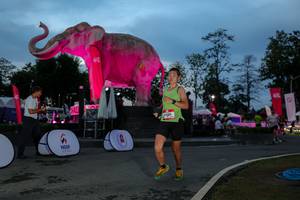 BIB: 
                            <button type="button" onclick="openModal(26529699)" class="btn btn-primary btn-sm float-right btn-popup" data-toggle="modal" data-target=".modal-high-quality">
                        <i class="fas fa-shopping-cart"></i> Add to Cart
                    </button>
                                            <button type="button" onclick="isThisMe(26529699, true)" class="btn btn-success btn-sm float-right btn-popup btn-isme hidden" data-toggle="tooltip" data-placement="bottom" title="นี่คือรูปของคุณใช่ไหม คลิกที่นี่เพื่อเอาเข้าอัลบั้ม">
                        <i class="fas fa-plus"></i> Add to album
                    </button>
                    <button type="button" onclick="isThisMe(26529699, false)" class="btn btn-warning btn-sm float-right btn-popup btn-isnotme hidden">
                        <i class="fas fa-ban"></i> Remove from album
                    </button>